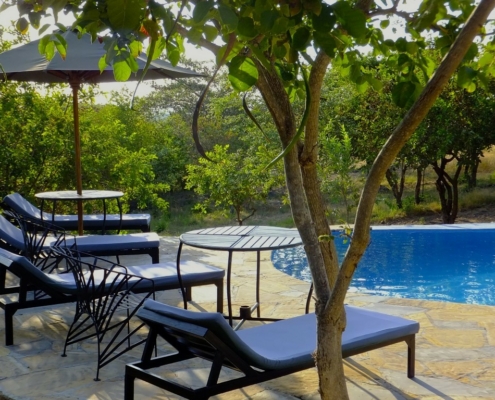 Sangaiwe_Pool.jpg Sangaiwe Camp Tansania