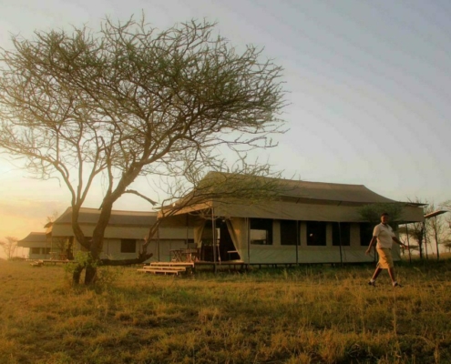 Hippo_Trails_1.jpg Hippo Trails Camp Serengeti