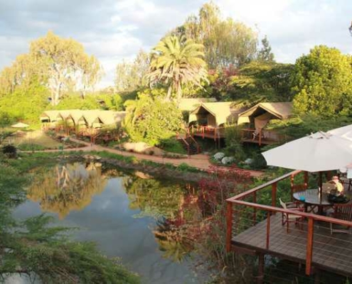 Wildebeest Camp Kenia