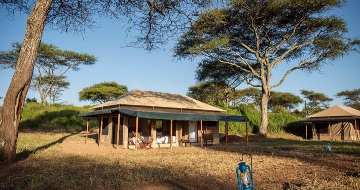 Baobab Camp