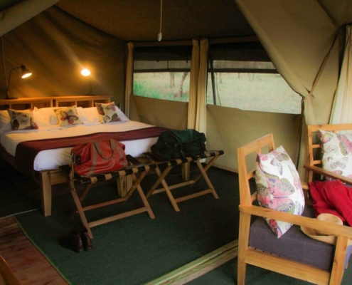 Hippo Trails 3 Hippo Trails Camp Serengeti