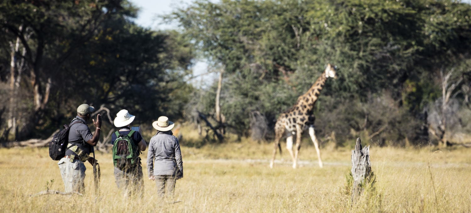 Buschsafari Hwange Nationalpark