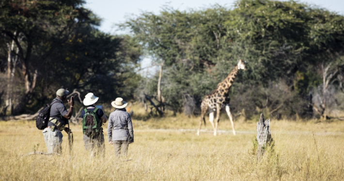Buschsafari Hwange Nationalpark