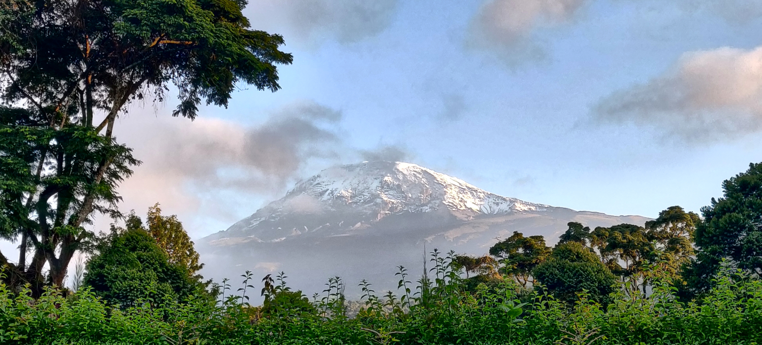 Kilimanjaro