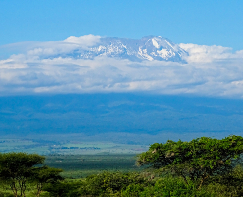 Kilimanjaro