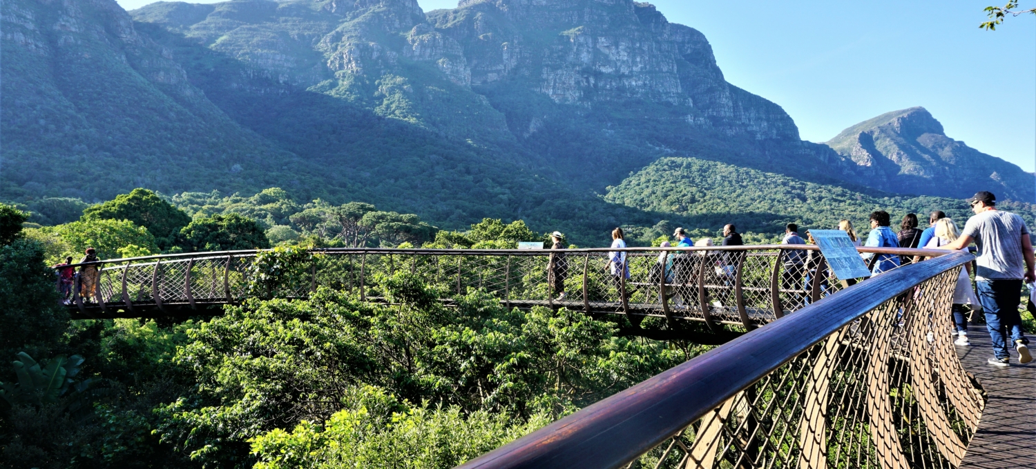 Botansicher Garten Kirstenbosch