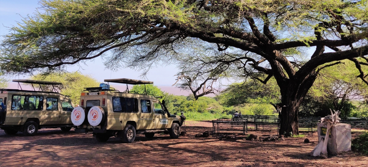 Safari Jeep 2 Safari Jeep in der Serengeti