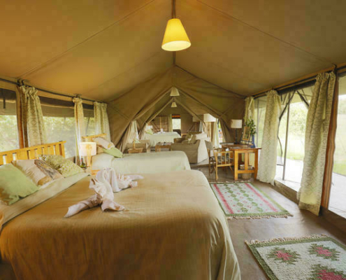 Porini Lion Camp Masai Mara