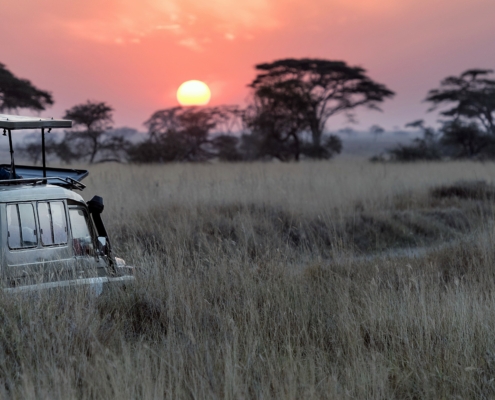 Safari Jeep in Afrika