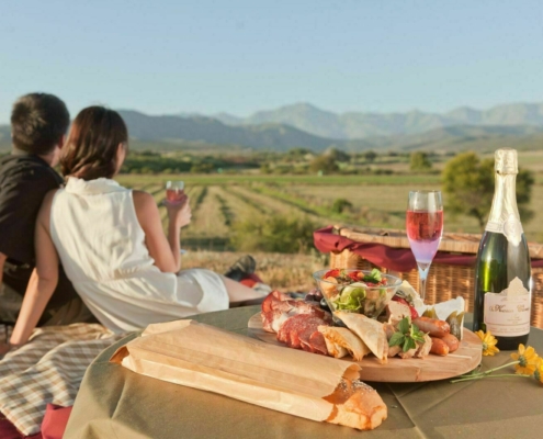 Surval Olive Estate Südafrika
