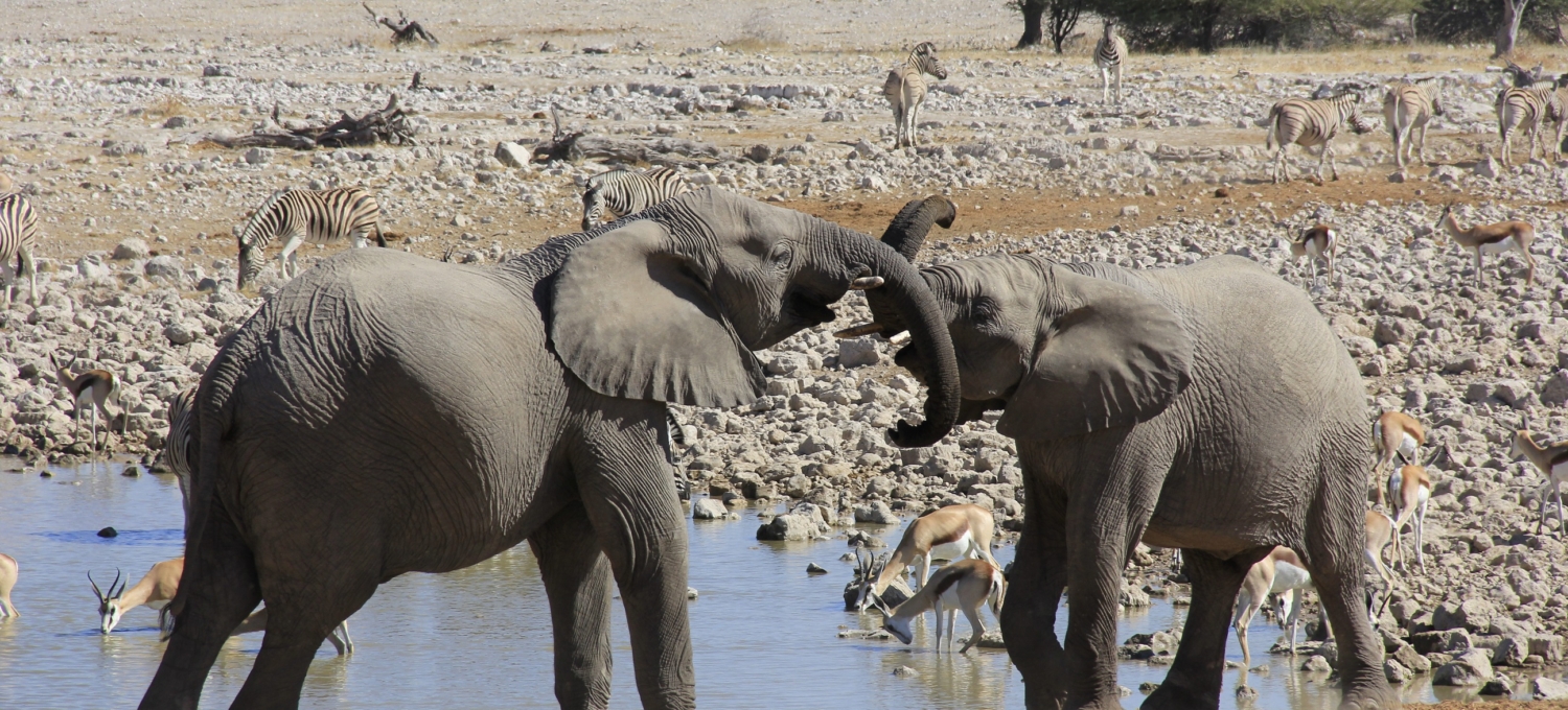 Namibia Rundreise in Kleingruppe