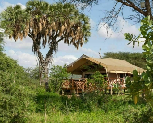 Elephant Bedroom Camp Kenia