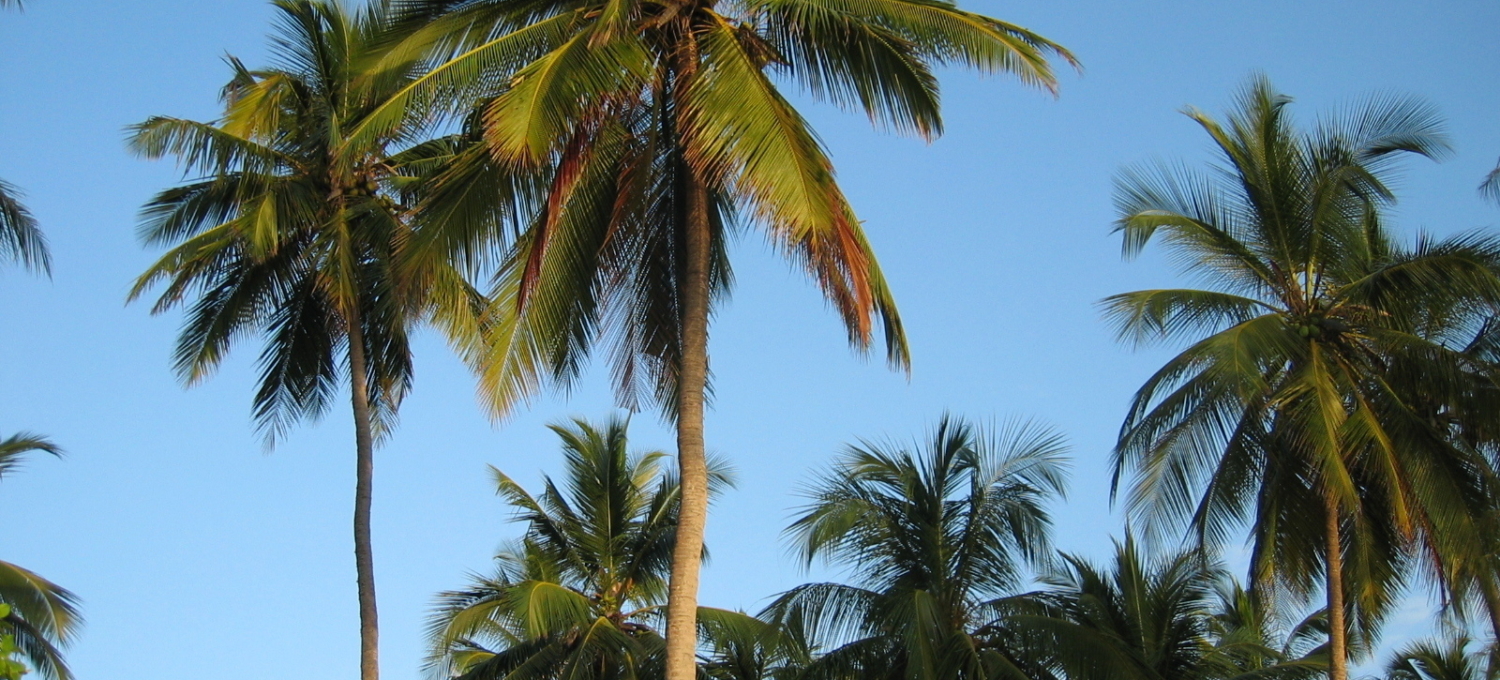 Strand Diani Beach Kenia