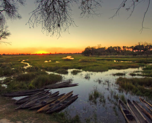 Oddballs Camp Botswana