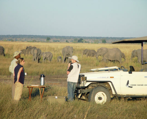 Pirschfahrt in der Chobe Safari Lodge