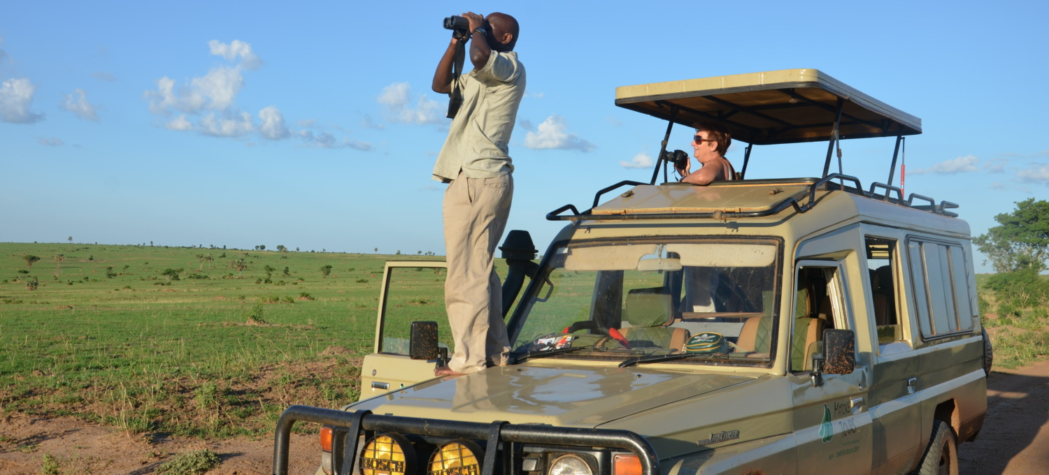 Pirschfahrt Uganda