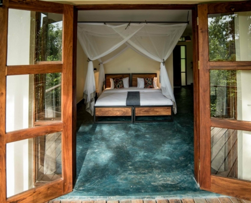 Turaco Treetops Standard Zimmer Uganda