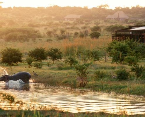 Cheetah Ridge Lodge Südafrika