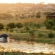 Cheetah Ridge Lodge Südafrika