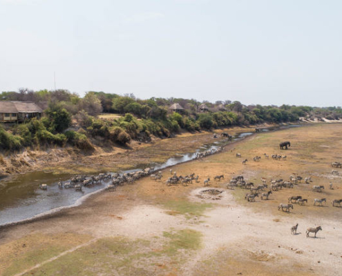 Leroo La Tau Botswana