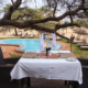 Camelthorn Kalahari Lodge Pool