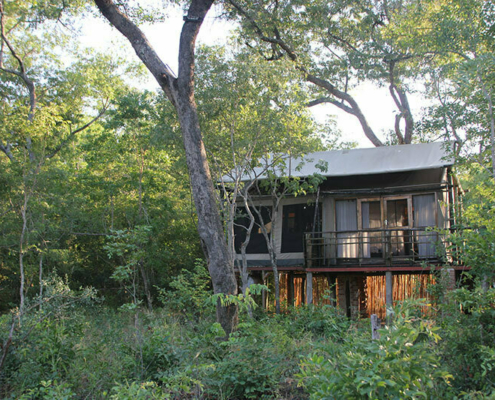Miombo Safari Lodge Simbabwe
