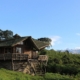 Castle Forest Lodge außen
