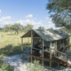 Mogogelo Camp Zelt